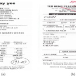 Understanding for Scanned Documents